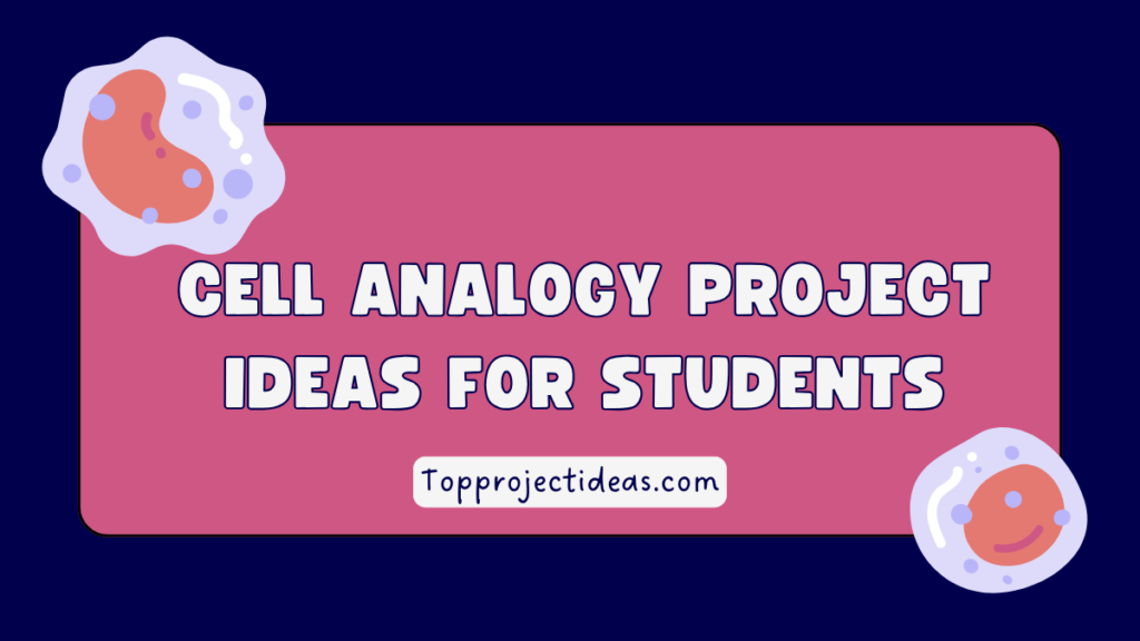 Cell Analogy Project Ideas for Students