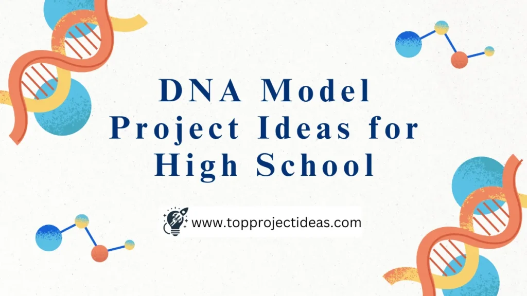 DNA Model Project Ideas for High School