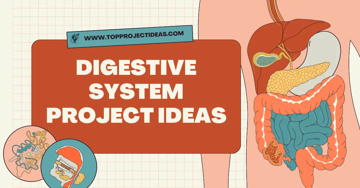 Digestive System Project Ideas 