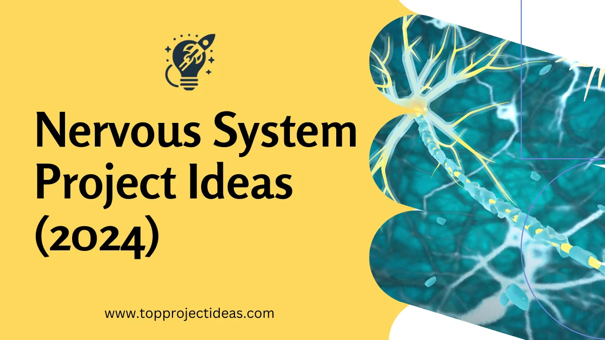 Nervous System Project Ideas