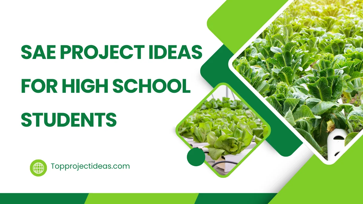 200 Simple SAE Project Ideas For High School Students