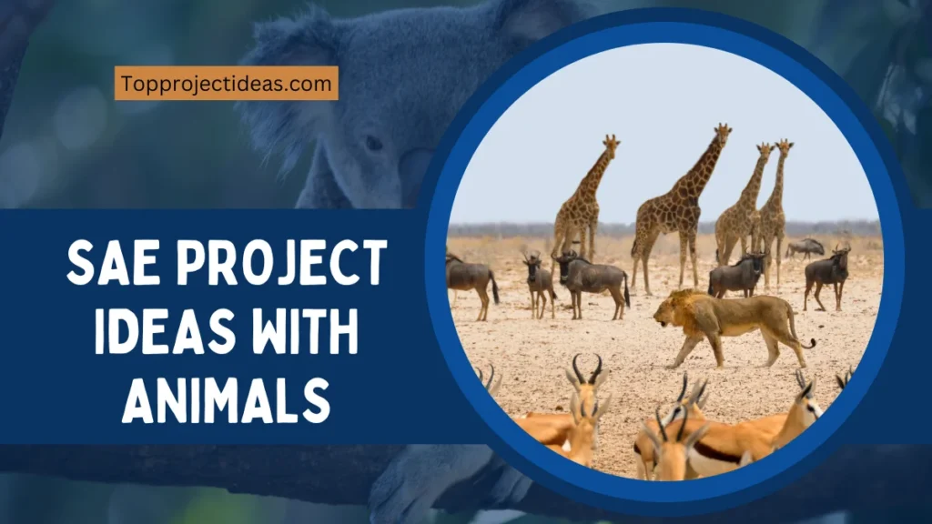 SAE Project Ideas With Animals