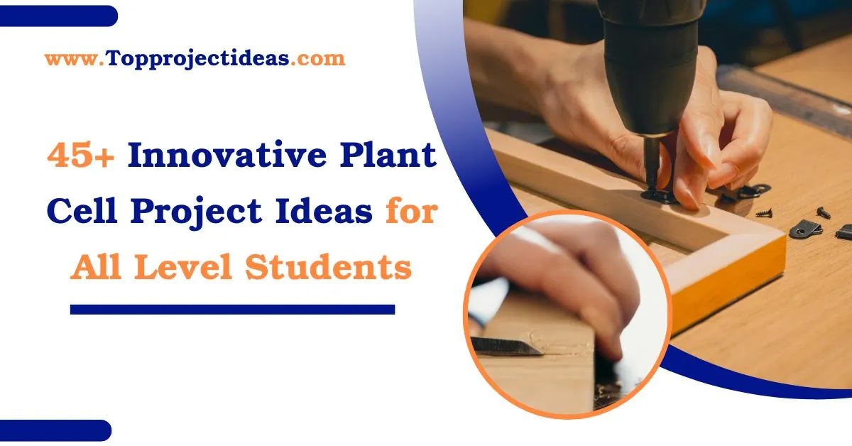45+ Innovative Plant Cell Project Ideas for All Level Students